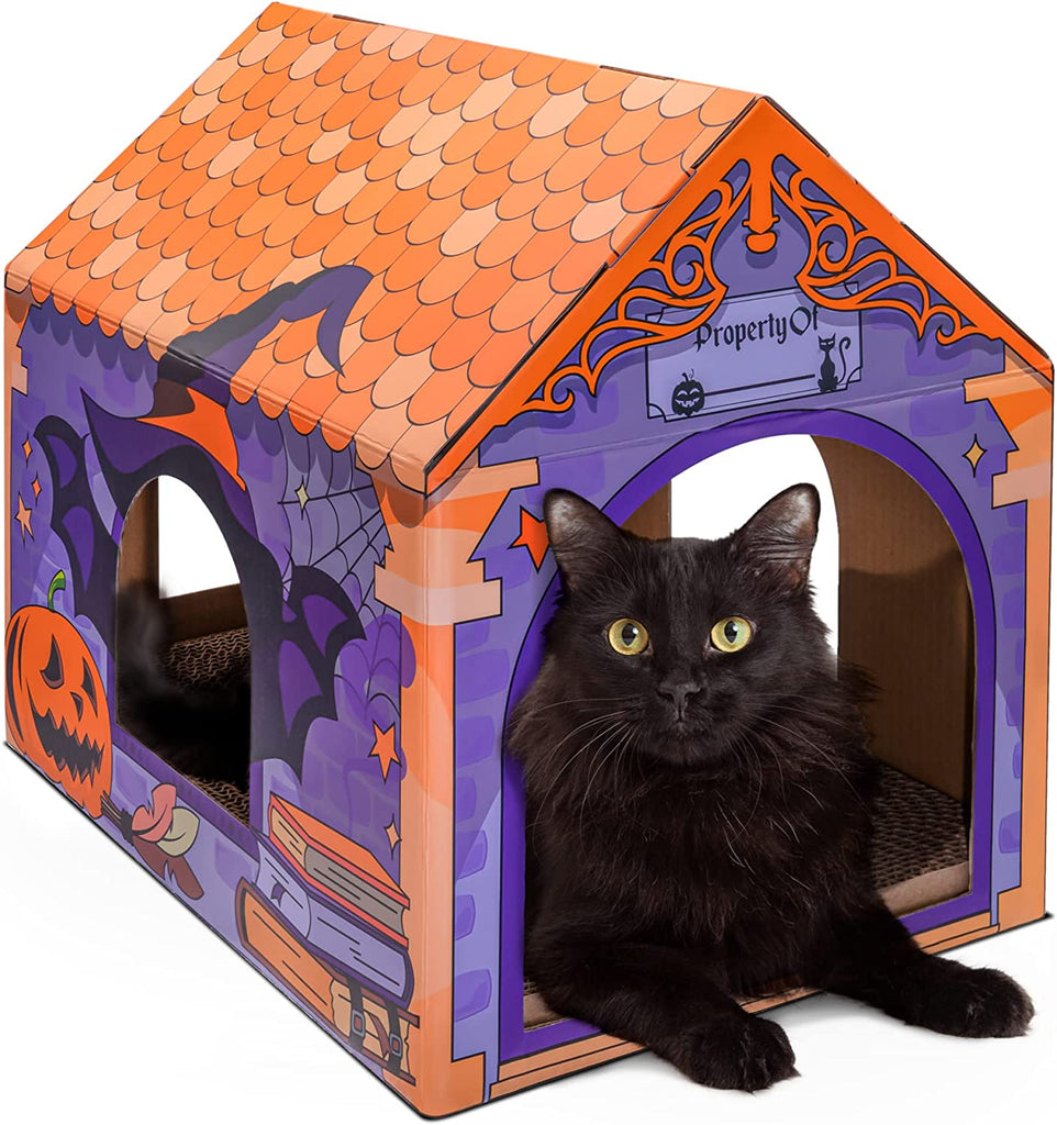a cat in a cat house with text: 'Property Of'
