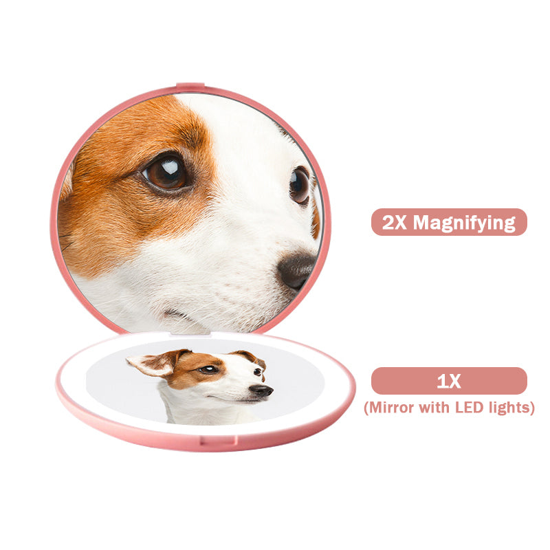 a dog's face in a mirror with text: '2X Magnifying 1X (Mirror with LED lights)'