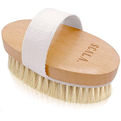 a wooden body brush with a white band with text: 'SCALA.'