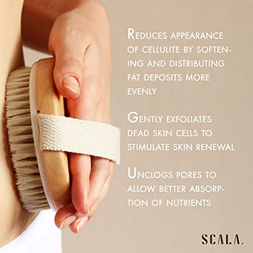 a person scrubbing a body with a massage brush with text: 'REDUCES APPEARANCE OF CELLULITE BY SOFTEN- ING AND DISTRIBUTING FAT DEPOSITS MORE EVENLY GENTLY EXFOLIATES DEAD SKIN CELLS TO STIMULATE SKIN RENEWAL UNCLOGS PORES TO ALLOW BETTER ABSORP- TION OF NUTRIENTS SCALA.'