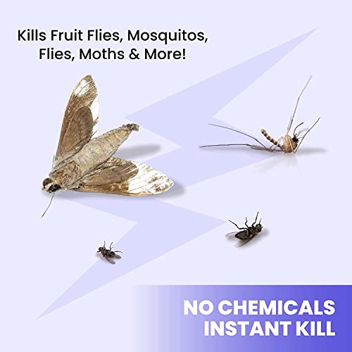 a group of insects with text with text: 'Kills Fruit Flies, Mosquitos, Flies, Moths & More! NO CHEMICALS INSTANT KILL'