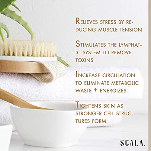 a white bowl and a brush with a plant on it with text: 'RELIEVES STRESS BY RE- DUCING MUSCLE TENSION STIMULATES THE LYMPHAT- IC SYSTEM TO REMOVE TOXINS INCREASE CIRCULATION TO ELIMINATE METABOLIC WASTE + ENERGIZES TIGHTENS SKIN AS STRONGER CELL STRUC- TURES FORM SCALA.'
