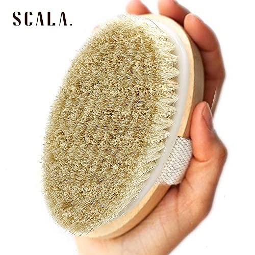 a hand holding a body brush with text: 'SCALA.'